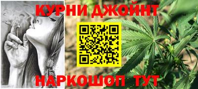 мдпв Ефремов